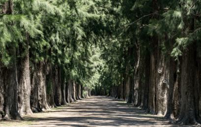 Nuevo Schoenstatt, Argentina: Santuario del Padre, testigo de la cruz y la victoria de María– Parte III