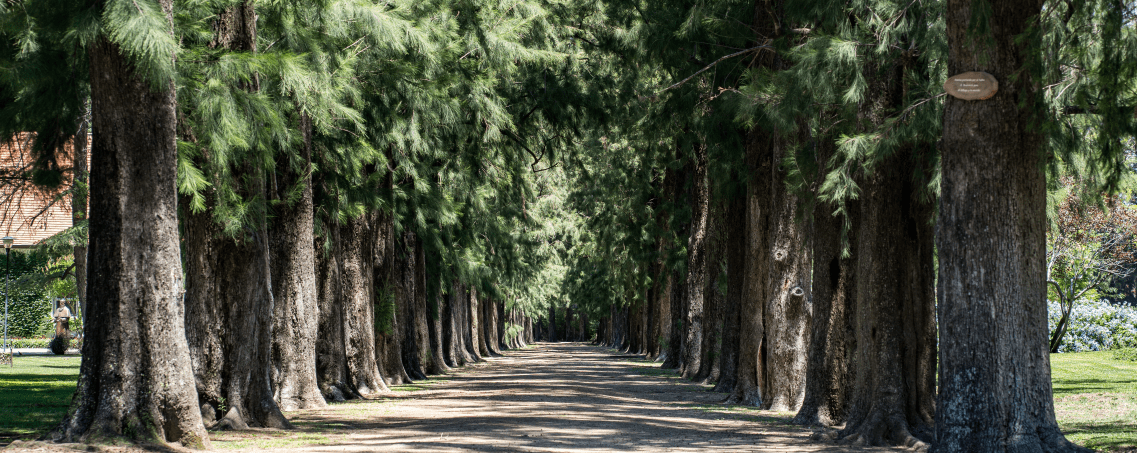 Nuevo Schoenstatt, Argentina: Santuario del Padre, testigo de la cruz y la victoria de María– Parte III