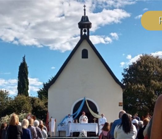 Schoenstatt para la Iglesia