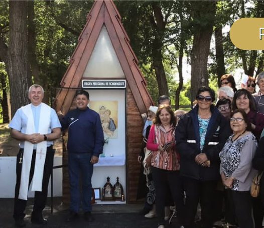 La Mater busca a sus hijos, volvamos a ser misioneros valientes 