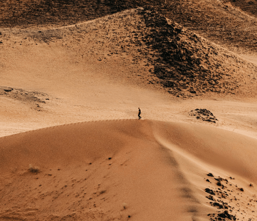 Cuaresma en el desierto