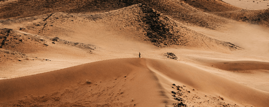 Cuaresma en el desierto