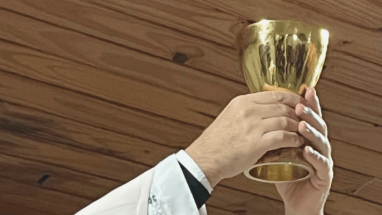 BANNER WEB-CALIZ DE LA PROMESA